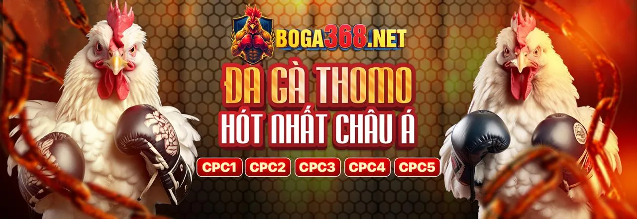 Đá gà trực tuyến đỉnh cao tại xeng88 link mới